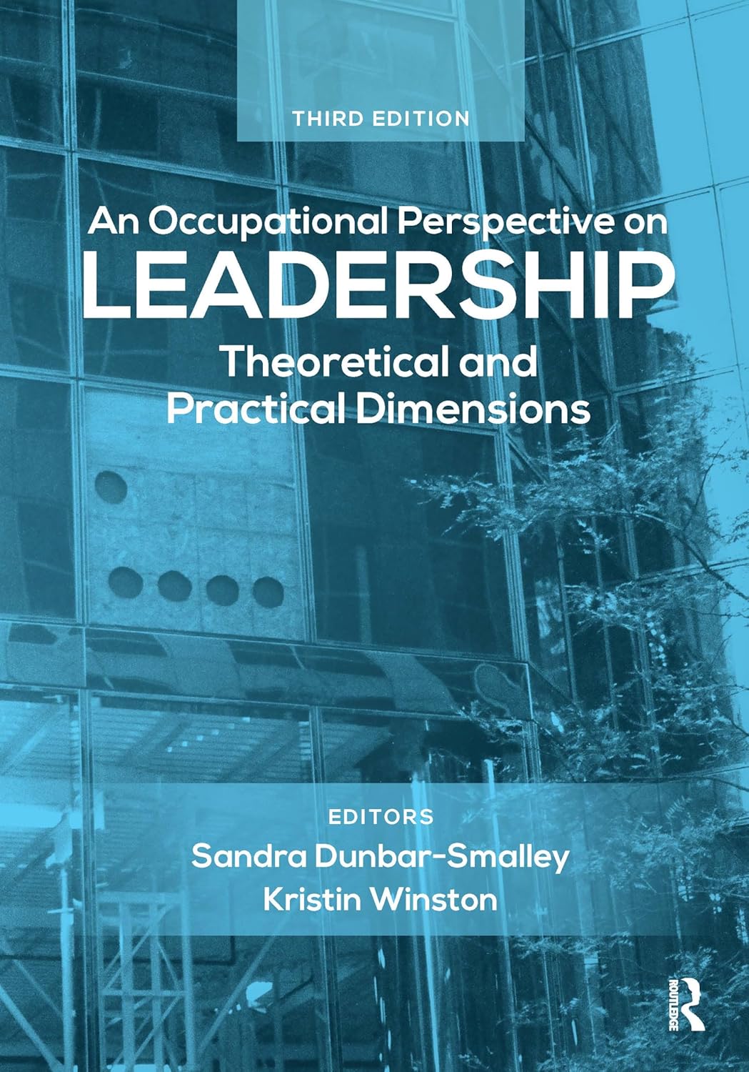 An Occupational Perspective on Leadership 3rd Edition