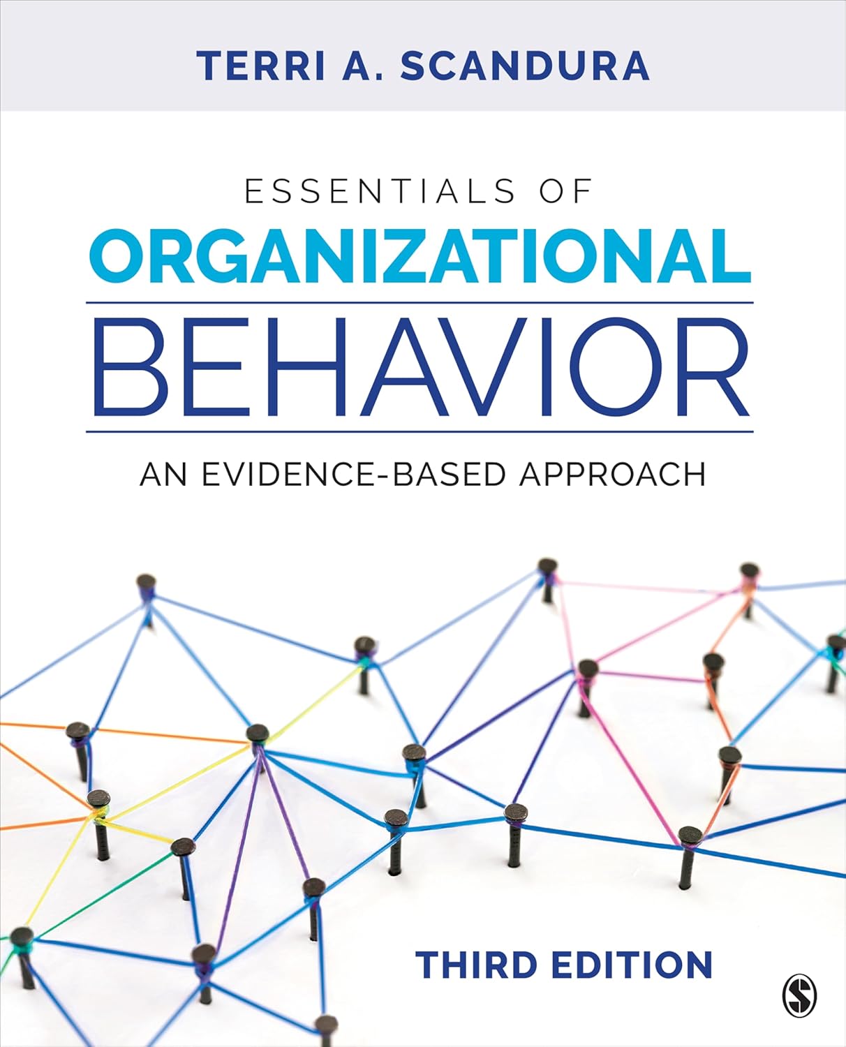 Essentials of Organizational Behavior An Evidence Based Approach 3rd Edition