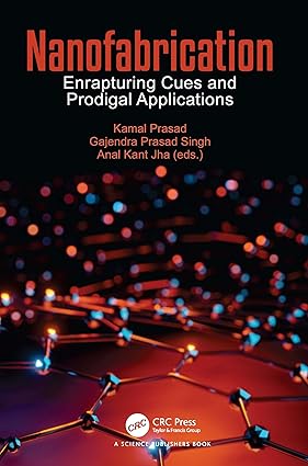 Nanofabrication Enrapturing Cues and Prodigal Applications 1st Edition