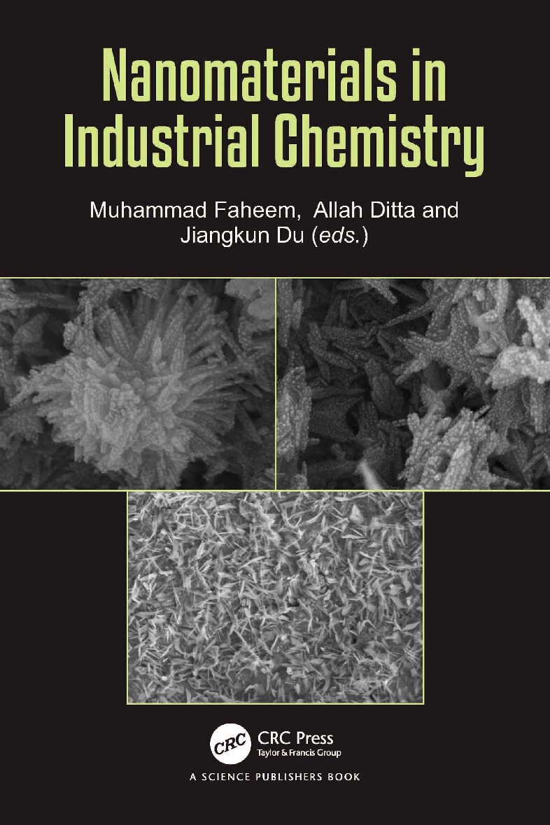 eBook [PDF] Nanomaterials in Industrial Chemistry By Faheem M., Ditta A., Du J.