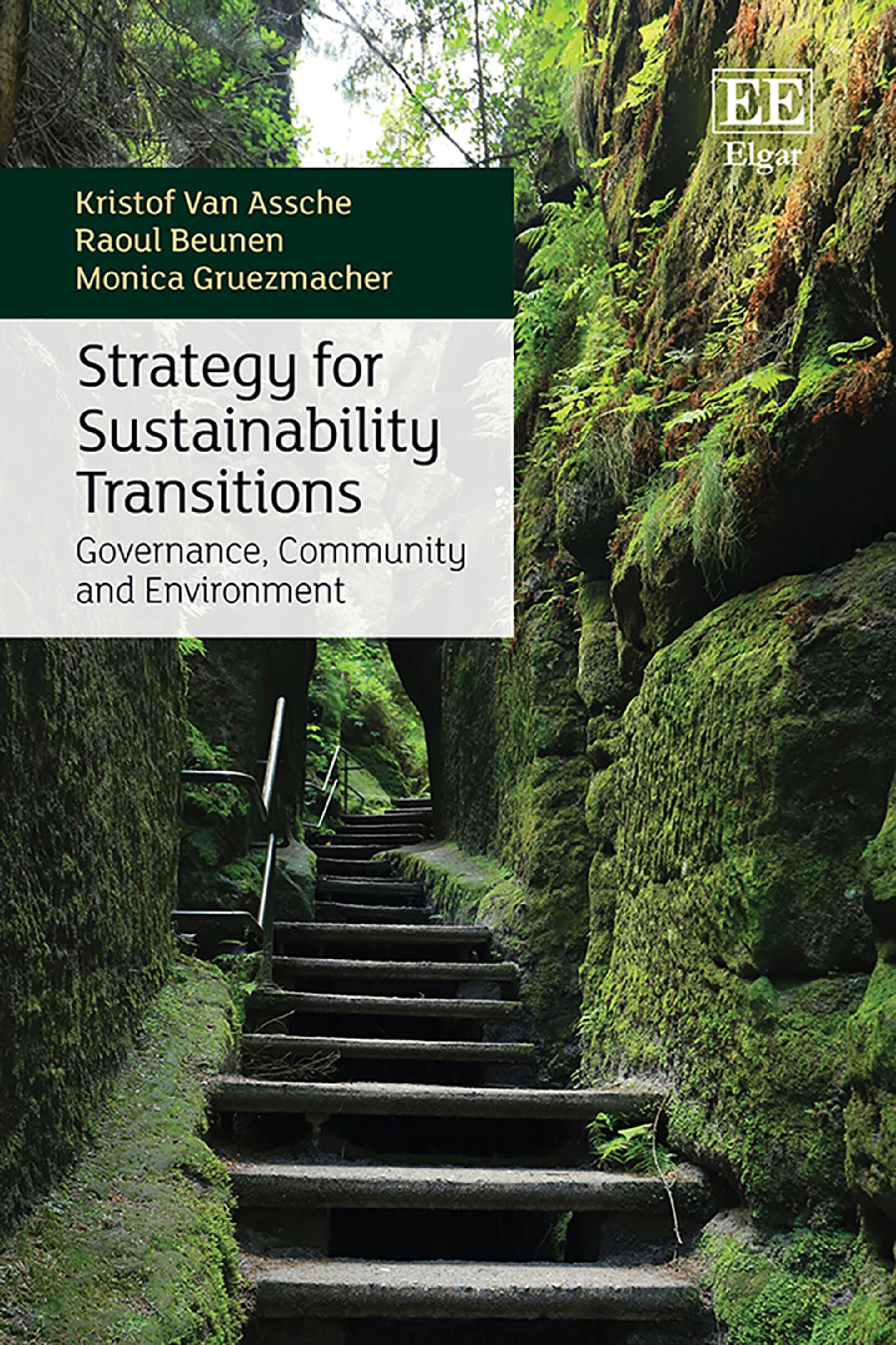 eBook [PDF] Strategy for Sustainability Transitions Governance, Community and Environment By Kristof Van Assche, Raoul Beunen, Monica Gruezmacher