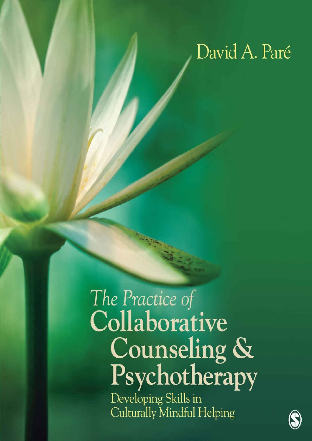 eBook [PDF] The Practice of Collaborative Counseling & Psychotherapy Developing Skills in Culturally Mindful Helping By David Pare