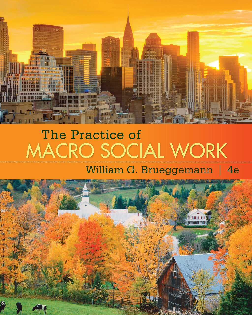 eBook [PDF] The Practice of Macro Social Work 4th Edition  By William G Brueggemann