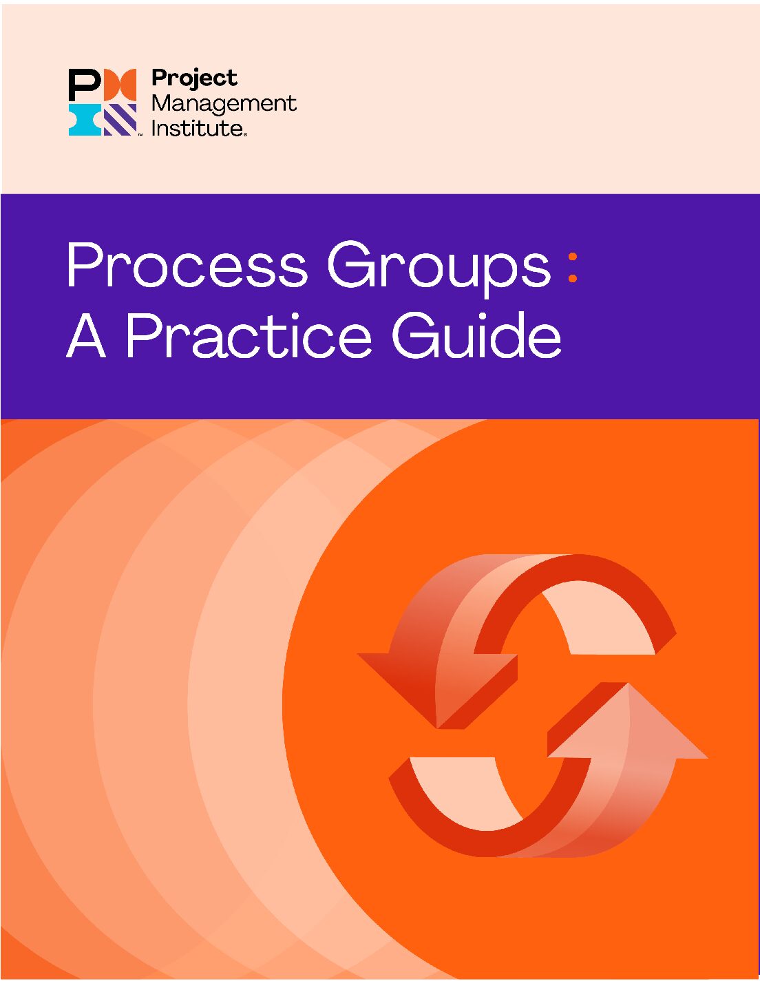 eBook [PDF] Process Groups A Practice Guide By Project Management Institute
